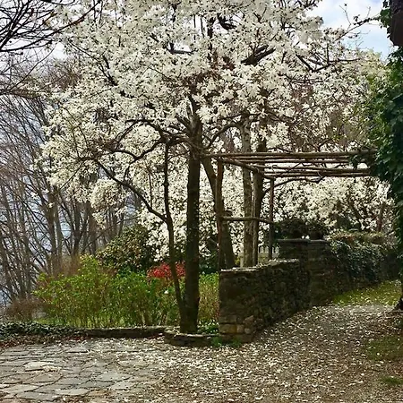 Apartmán Casa Cesira Pettenasco